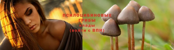 кристаллы Абаза