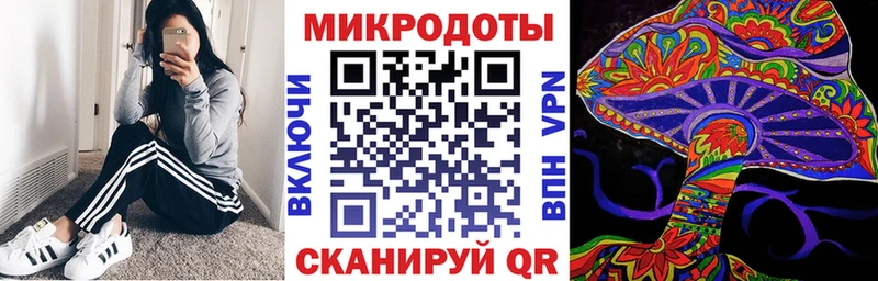 как найти закладки Ковров Псилоцибиновые грибы Magic Shrooms